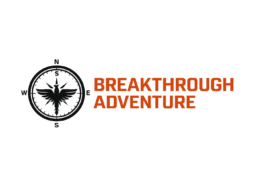 single logo for website