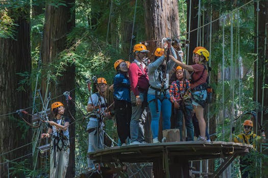 People enjoy a group ziplining adventure amid lush forest canopy.