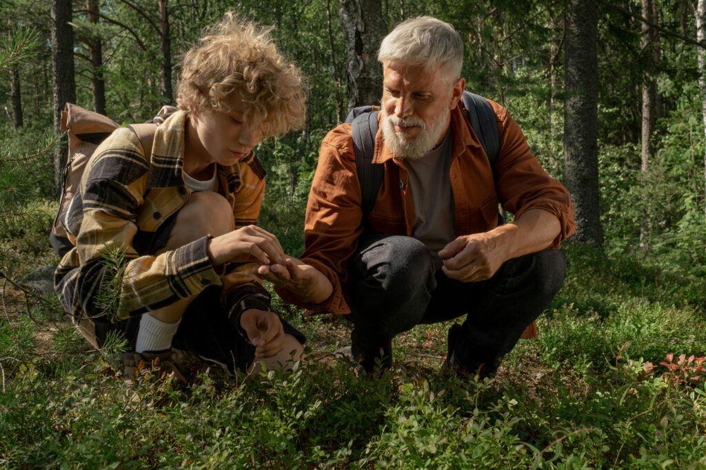 A grandfather and grandson picking berries in a forest during summer.