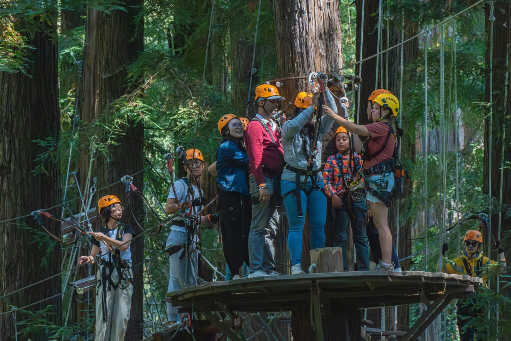 People enjoy a group ziplining adventure amid lush forest canopy.